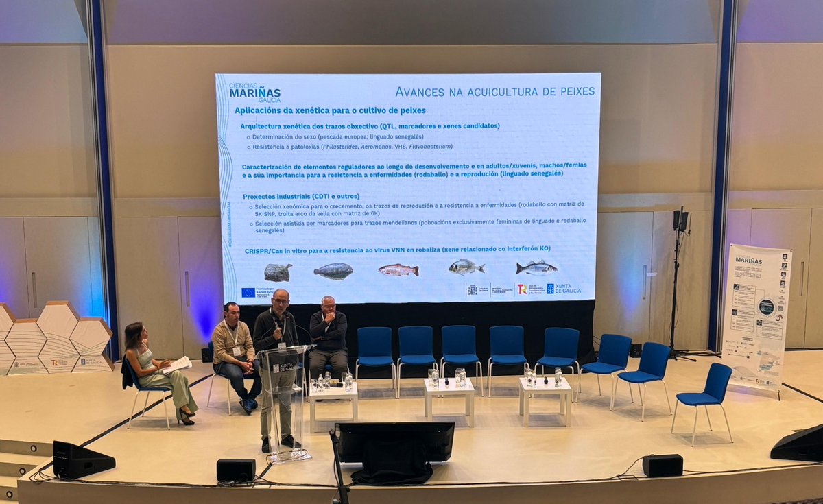 👉​Hoy estamos en el II Encontro das Ciencias Mariñas, un espacio donde se presentan los últimos avances y novedades de un programa que une a la ciencia y al sector marino.

Este tipo de acciones son esenciales para seguir avanzando hacia un futuro más sostenible🌍💙

#sinerxia