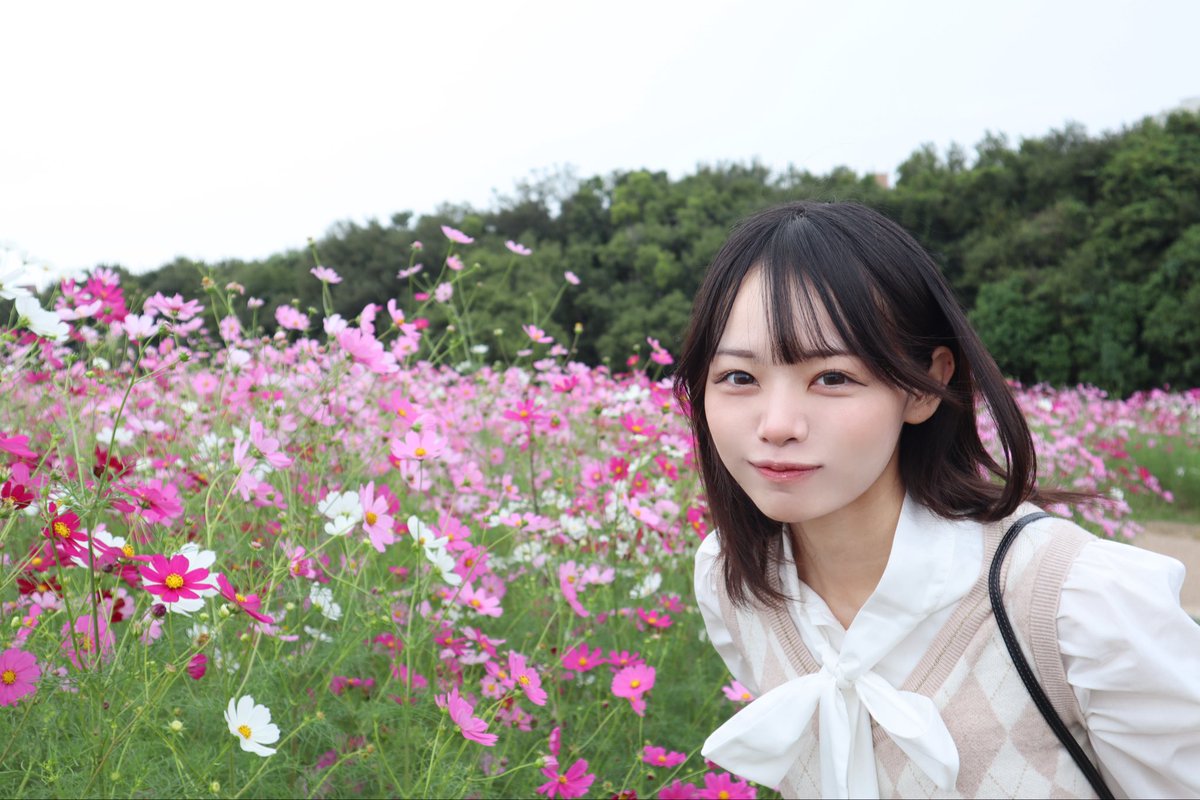 瀬戸内れもん【ナナコロ】 (@lemon_nanakoro) / Posts / X