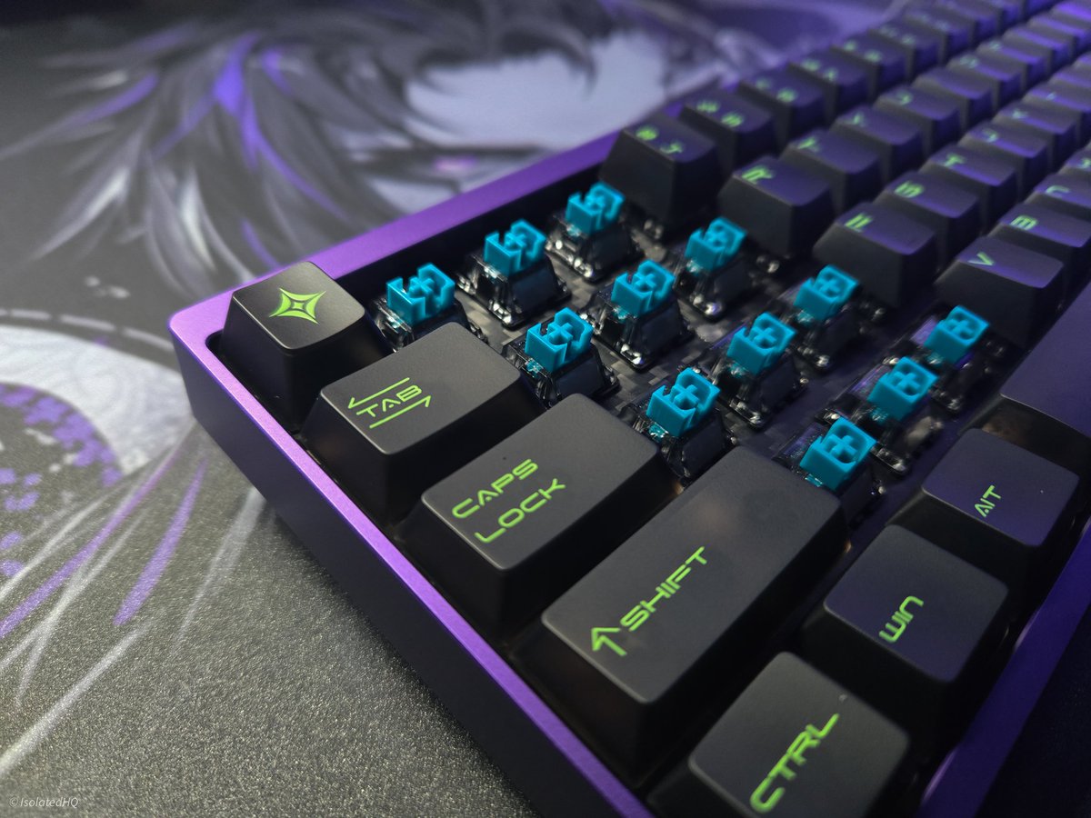 •Neo65 Sonic+ HE keyboard•

What an absolute blast of a keyboard to game on.  The anodized purple is stunning! OwLab Nova switches are solid. 

I'll mess with other keycaps sets soon!