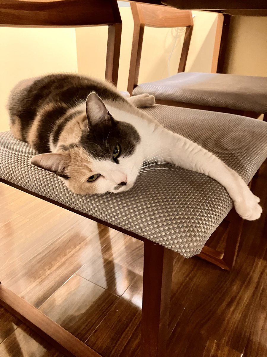 ❤️megu VOLVO B7R NOX SENSOR 22827993, 22827995, 5WK97371 - Turbo