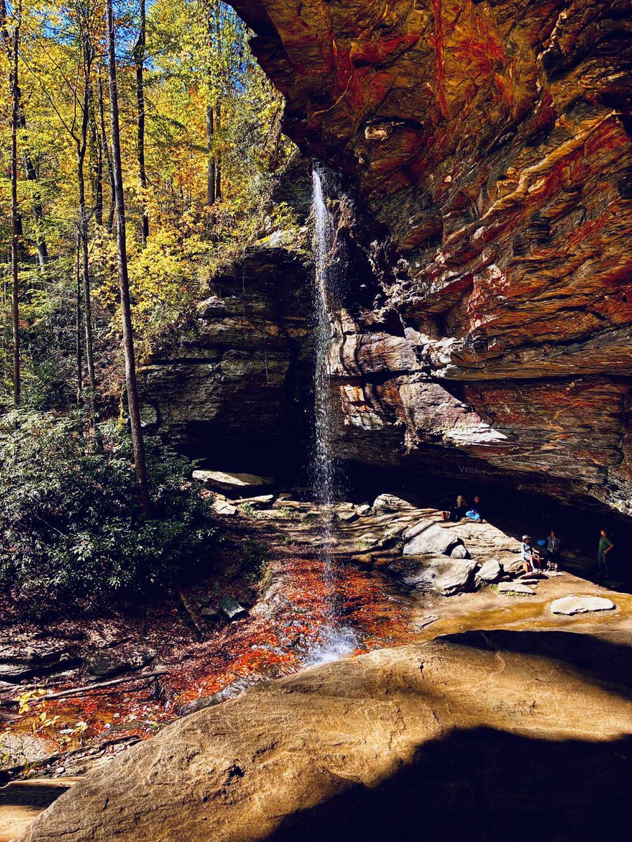 AlConklin's tweet image. Great #fallcolor this week in the North Carolina High Country. Here are a few pics from Katie Chapman of Connelly Springs. #ncwx #cltwx #scwx ⁦@spann⁩ #autumn #autumnvibes