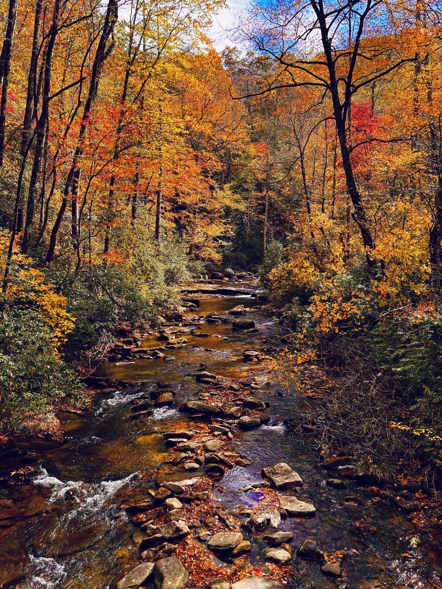 AlConklin's tweet image. Great #fallcolor this week in the North Carolina High Country. Here are a few pics from Katie Chapman of Connelly Springs. #ncwx #cltwx #scwx ⁦@spann⁩ #autumn #autumnvibes