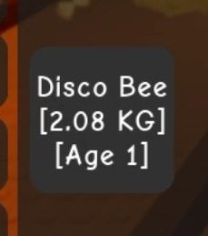 v | mt after dm tweet media