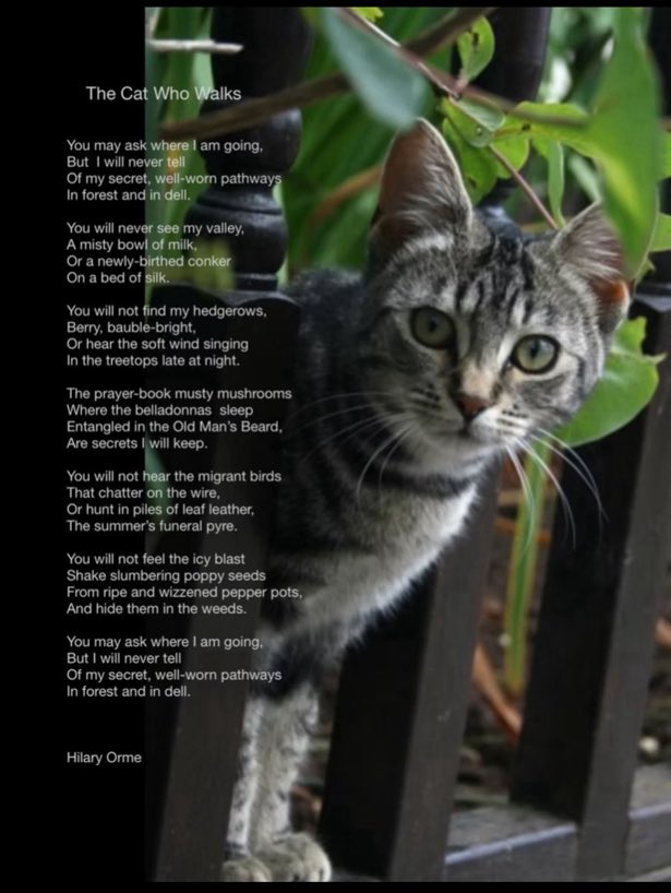 Jenny Corken (@nalakiara) on Twitter photo 