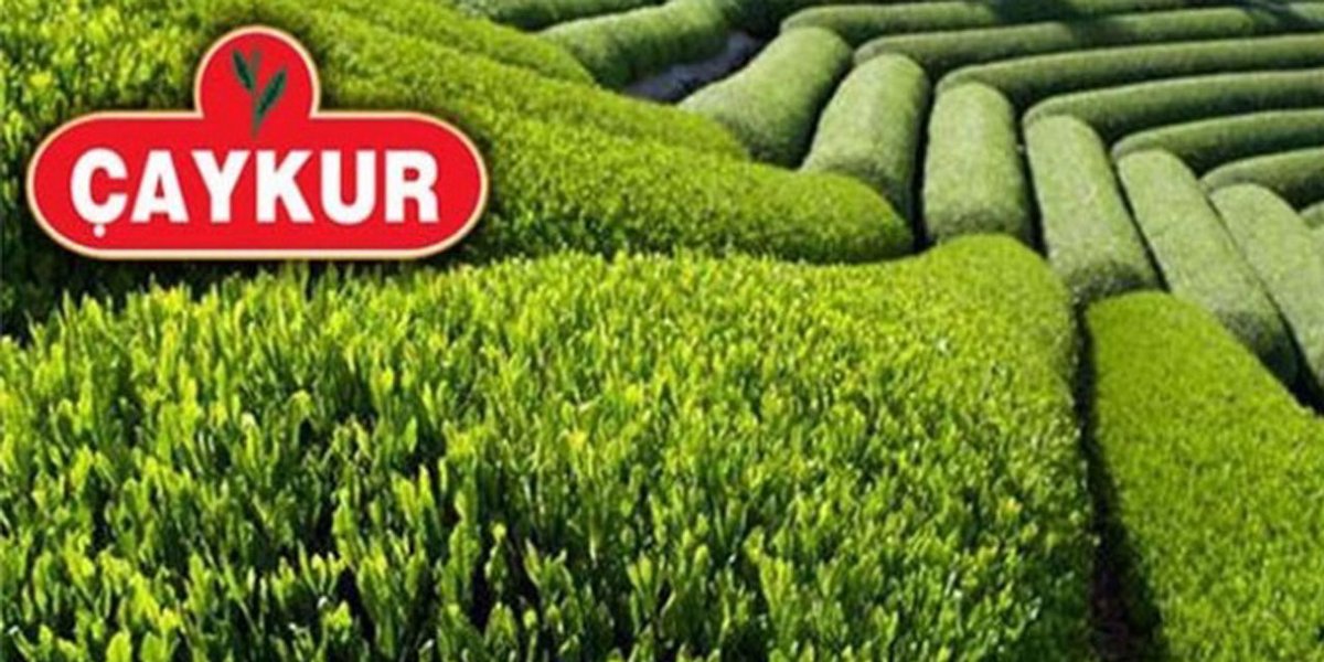 ÇAYKUR, 9. Ay Yaş Çay Paralarını Ödüyor!
olay53.com/haber/caykur-9…