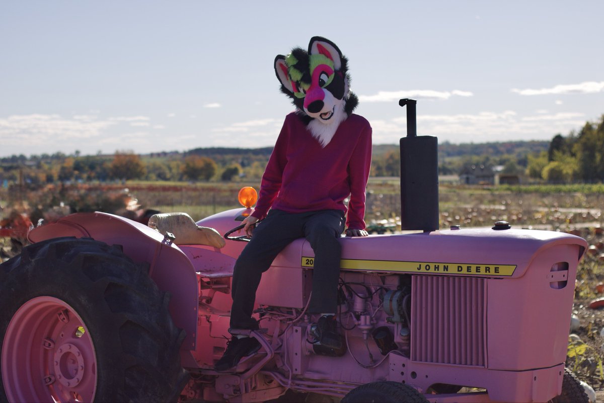 pink dog on a pink tractor 🩷