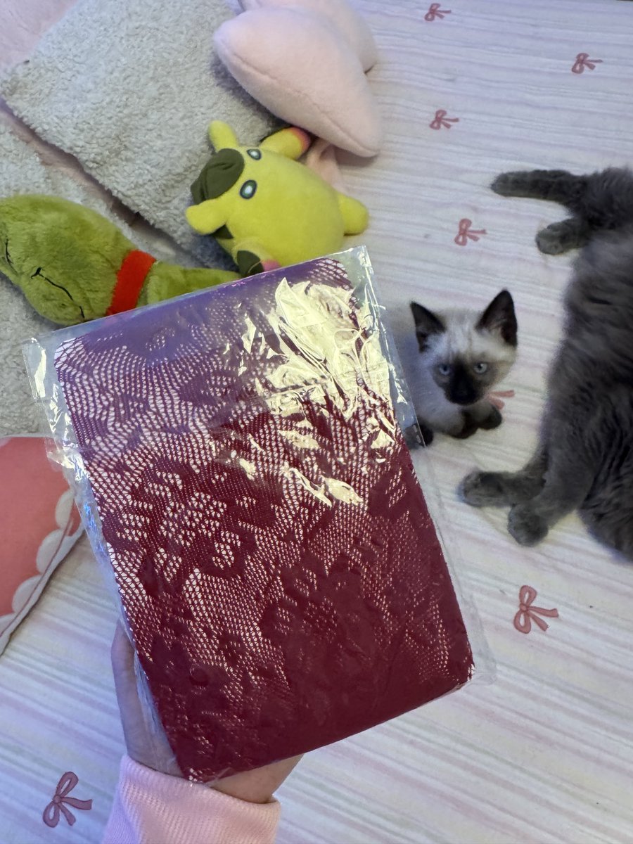 ⋆:･𝜗𝜚ﾟ Meraki ˖°⋆˚ tweet media