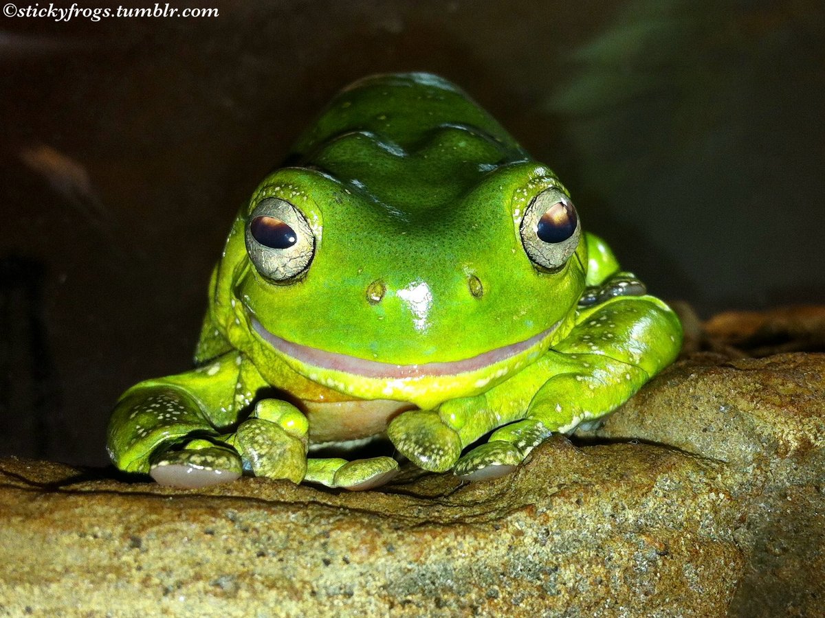 Jens is Very Pleased with tonight’s flavour of Delicious Jacket!