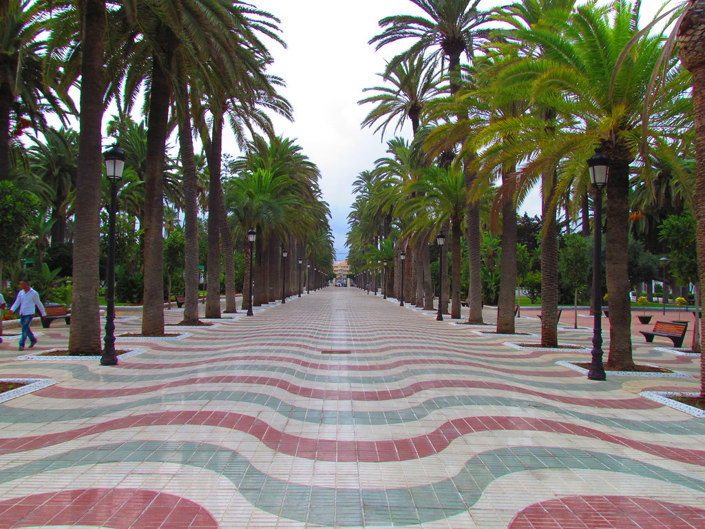 El Faro de Melilla (@elfarodemelilla) on Twitter photo El Gobierno prepara un proyecto de renovación del Parque Hernández de cara a su 125º aniversario
El consejero de Medio Ambiente, Daniel Ventura ha hablado sobre las reformas de Plaza España, el tanatorio y el parque inclusivo del Parque Forestal
elfarodemelilla.es/el-gobierno-pr… El Gobierno prepara un proyecto de renovación del Parque Hernández de cara a su 125º aniversario
El consejero de Medio Ambiente, Daniel Ventura ha hablado sobre las reformas de Plaza España, el tanatorio y el parque inclusivo del Parque Forestal
elfarodemelilla.es/el-gobierno-pr…
