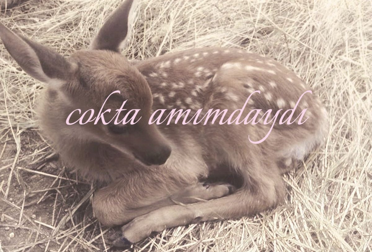 y; (@yunakimya) on Twitter photo 