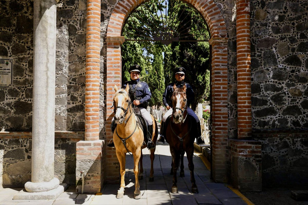 #Entérate 📰 | En el marco de una de las tradiciones más significativas para todas las familias sanandreseñas, el Día de Muertos, se pone en marcha el “Operativo Todos Santos 2025”. 🌼🚔

🔹Estará desplegado al interior y en inmediaciones de panteones, así como en la demarcación.