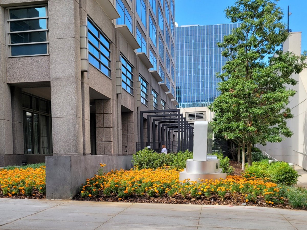 .
Friday afternoon flowers in MidtownAtl
are where you find them
.
°74 and very nice  
.