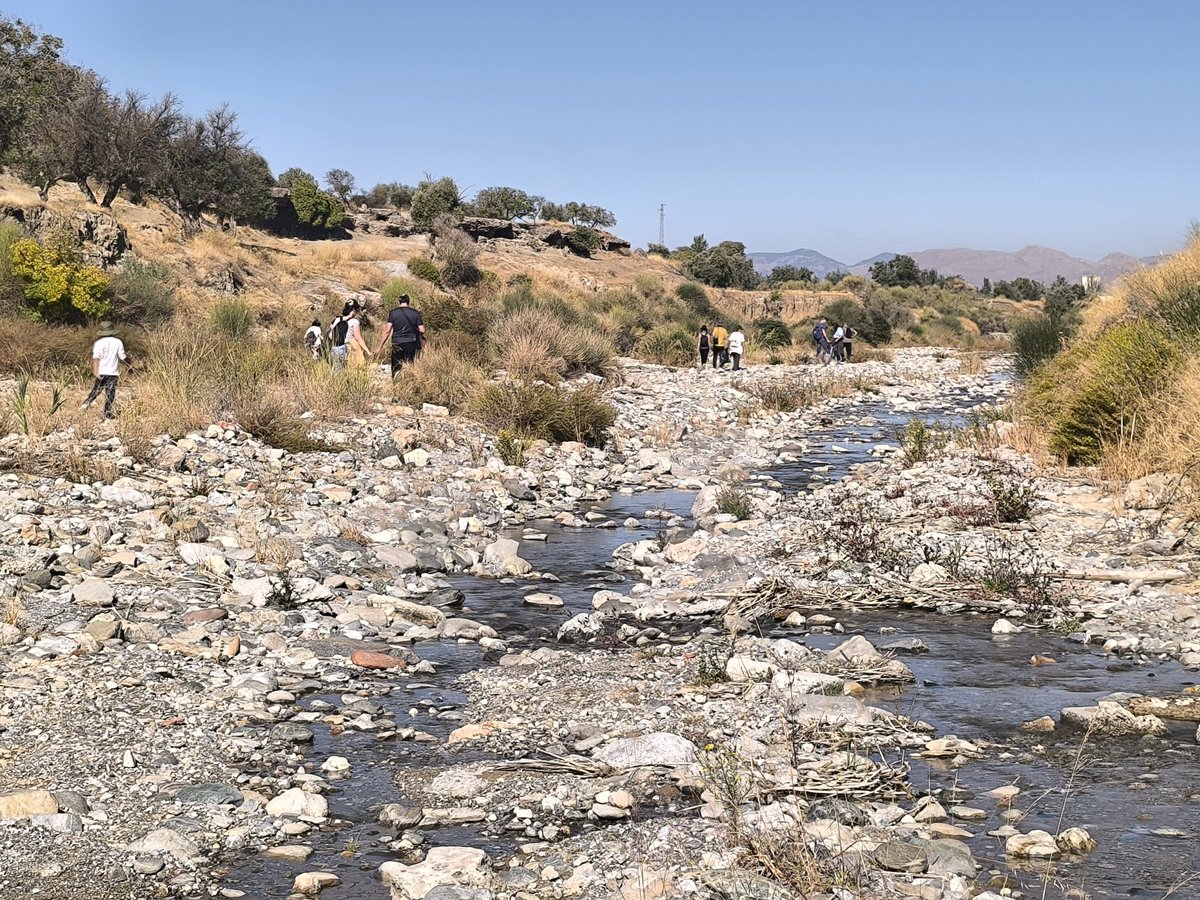 arrendajillo's tweet photo. Contra todo pronóstico el #caudal del #riodilar fluye por sus arenales en el #diacontraelcambioclimatico y en muchos otros días.
#queremosriosvivos #riosvivos @IndeGranada @ACPES1 @Santi_MBarajas @BosqueHabitado @elpais_espana @mitecogob https://t.co/2n1CorfQgz