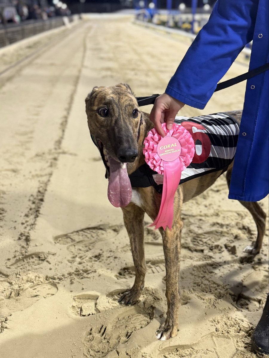 💙Romford Friday Night 500 Standard (OR3) - Heat 2🔥

🌟Winner of Race 3 - Romford Friday 24th October 2025

🏅Trap 6 - WHITEWOOD LENNY

Trainer🏆- Maxine Locke (Rom)
Owner(s)🐾- The Slick Racing Club

Congratulations to Connections!🩷