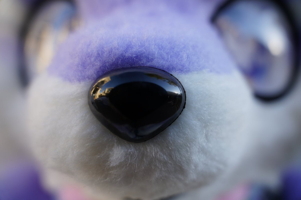 Taro Snoot

#furry #fursuit #kemono #ケモノ #FursuitFriday