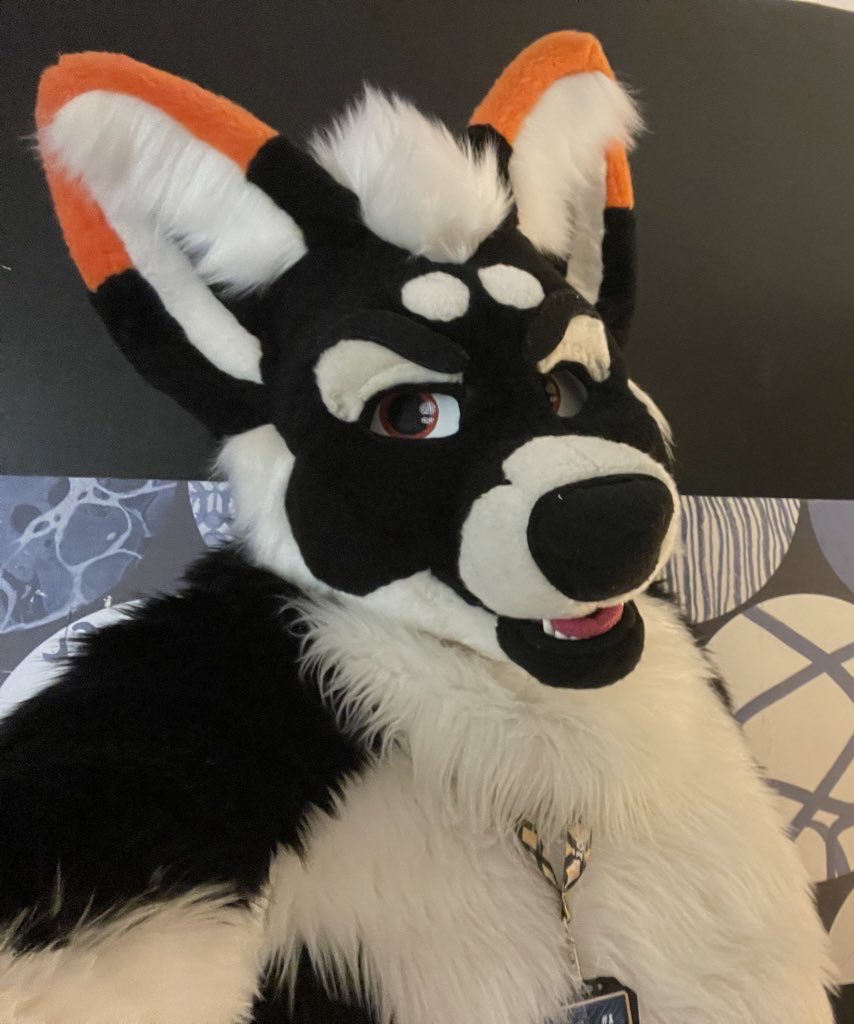 Hello there 

#FursuitFriday #furry #fursuiter