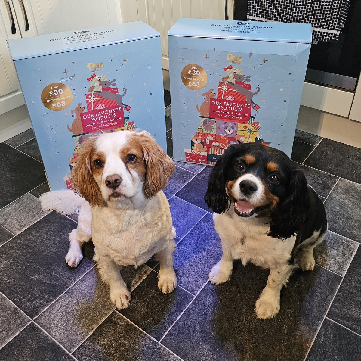 runawaygirl248's tweet image. Giant advent calendars for dogs - yeah they&apos;re definitely spoilt but...who cares 😉
My best buddies deserve it 😍
#cavpack #petsathome @PetsatHome