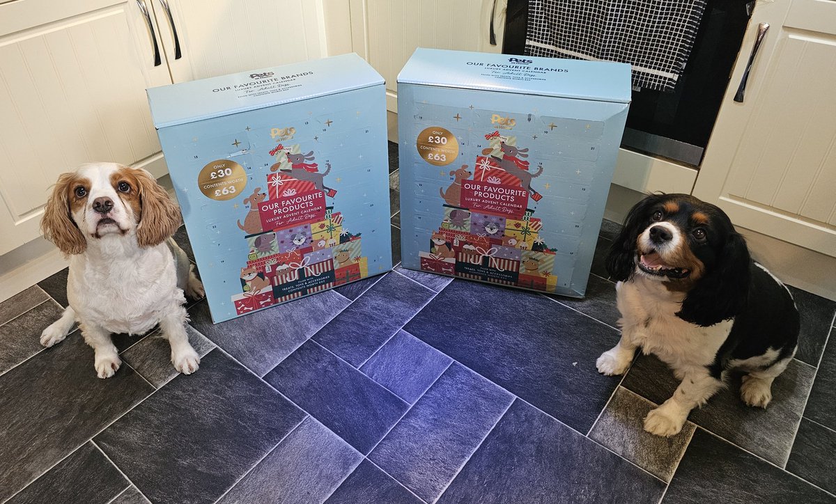 runawaygirl248's tweet image. Giant advent calendars for dogs - yeah they&apos;re definitely spoilt but...who cares 😉
My best buddies deserve it 😍
#cavpack #petsathome @PetsatHome
