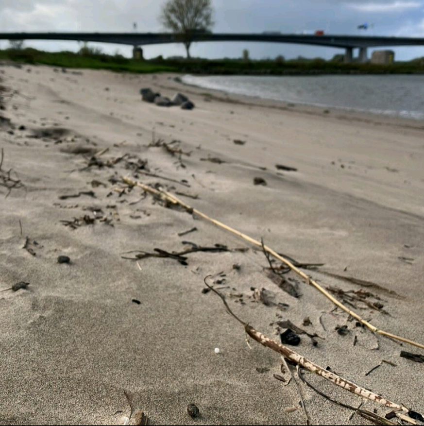 It's still #GreatGlobalNurdleHunt month. A quick 5 minute hunt this afternoon revealed 4 nurdles. 
<a href="/greatnurdler/">Great Nurdle Hunt</a>