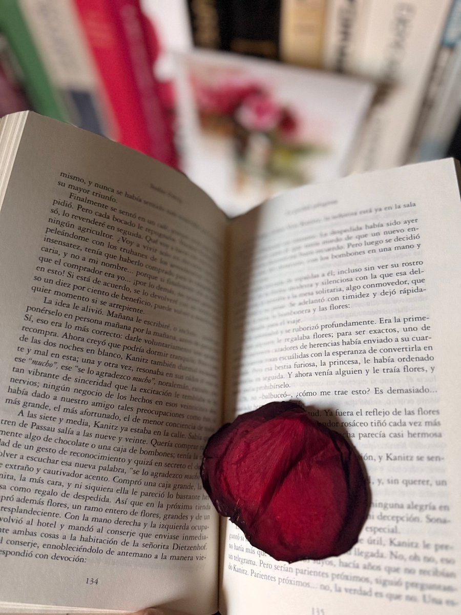 velascoedicion's tweet image. En este Día Mundial de la Biblioteca compartimos el precioso texto de la escritora Sonia Montero Trenor, publicado en su blog ‘Cartas de una conocida’, en el que leemos con satisfacción que nuestros títulos ya tienen en un hueco en sus anaqueles: cartasdeunaconocida.substack.com/?utm_source=na…