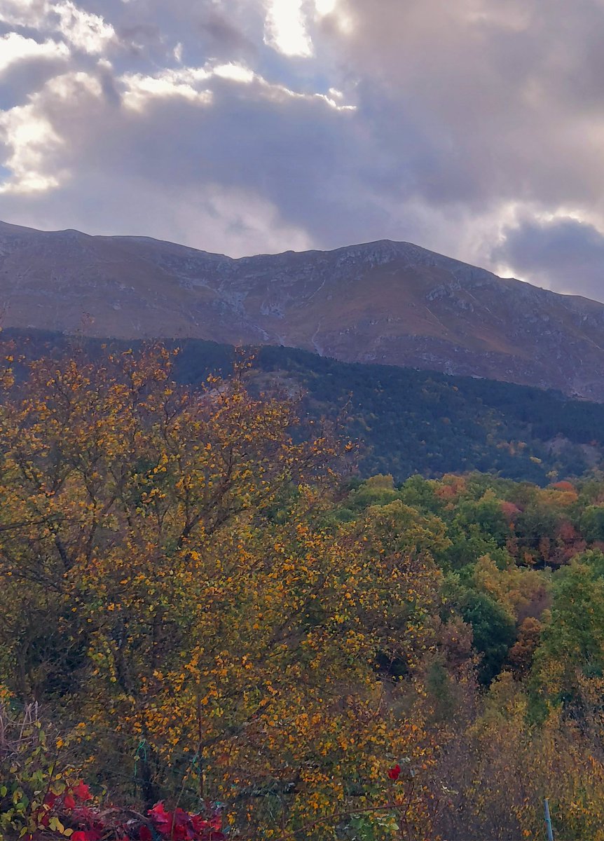 Maria Lea tweet media