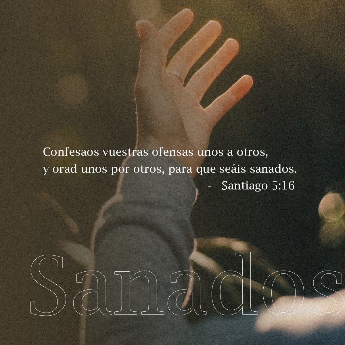 Versículos Diarios 📖 (@versiculosxdia) on Twitter photo 