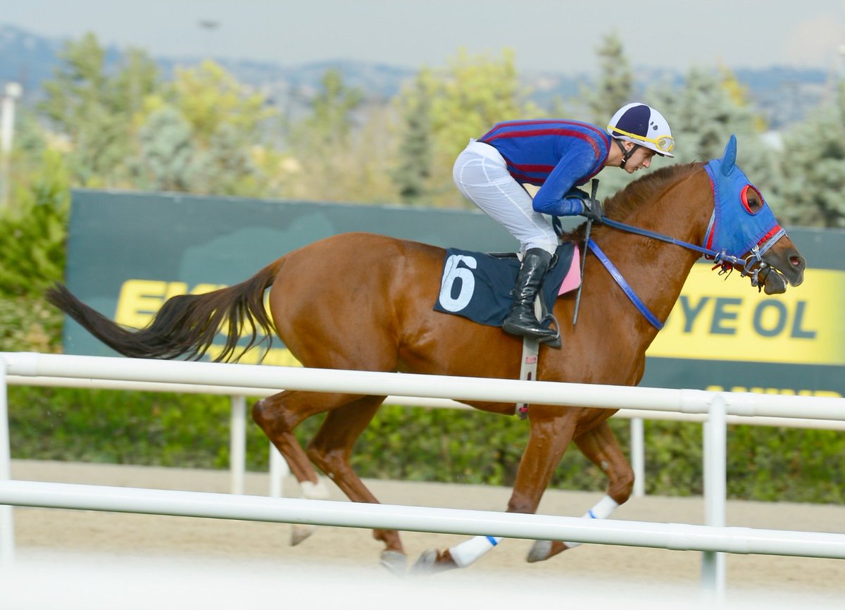 Szercelk's tweet image. Şah dragon🐴🧲