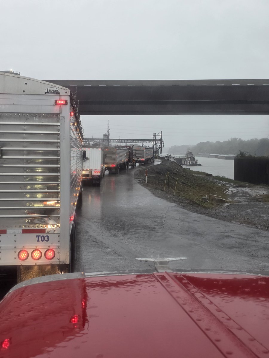 DanielEEdmonds's tweet image. Rainy day hauls to the port. @CGBGrain #Port33