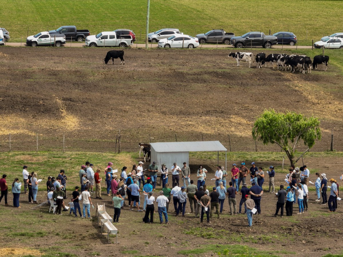 agrifirmuy's tweet photo. 🐄 Apoyando la Jornada de @INIA_UY – Cría eficiente de terneras 
Casi 100 participantes compartieron una mañana de intercambio sobre manejo, bienestar y nutrición en las primeras etapas de vida 
Gracias a la familia Bonjour y al tambo El Piamonté por recibirnos 🤝
#Agrifirmuy https://t.co/RNMwe4ZfaK
