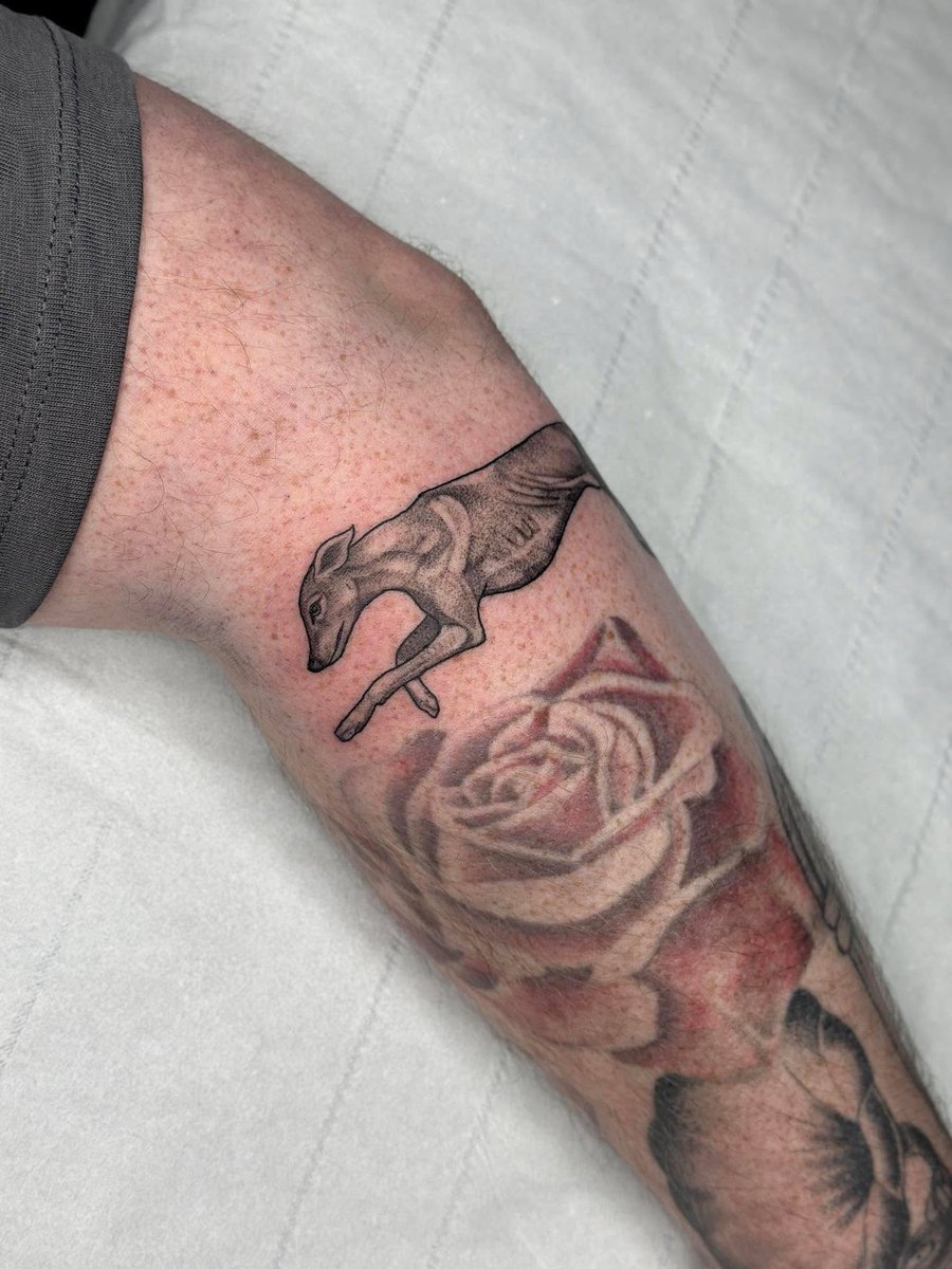 garymci2014's tweet photo. Wee granda died a few months ago, his whole life revolved around the dug racing. Got this today as a wee tribute to him https://t.co/SY5euXATc5