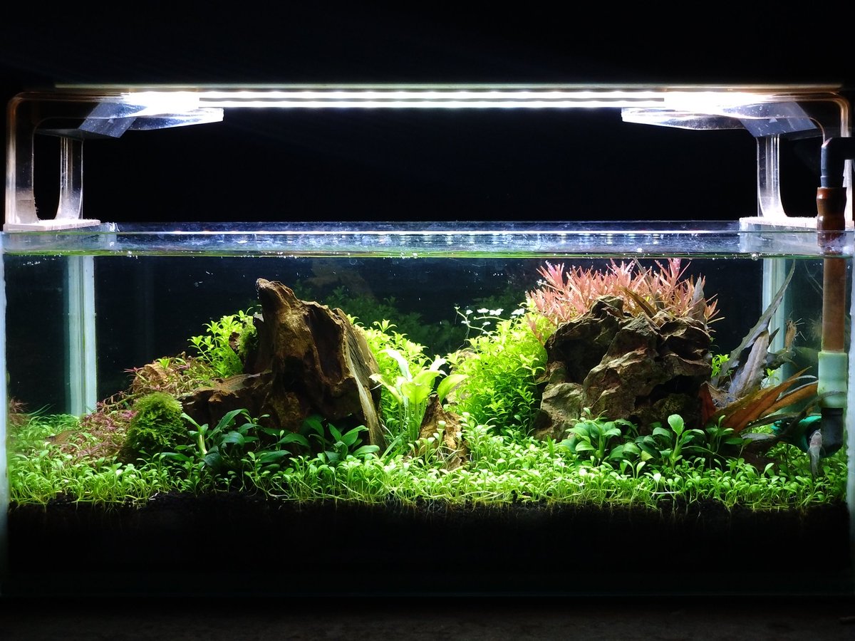 まさ@某ブログ管理人 on X