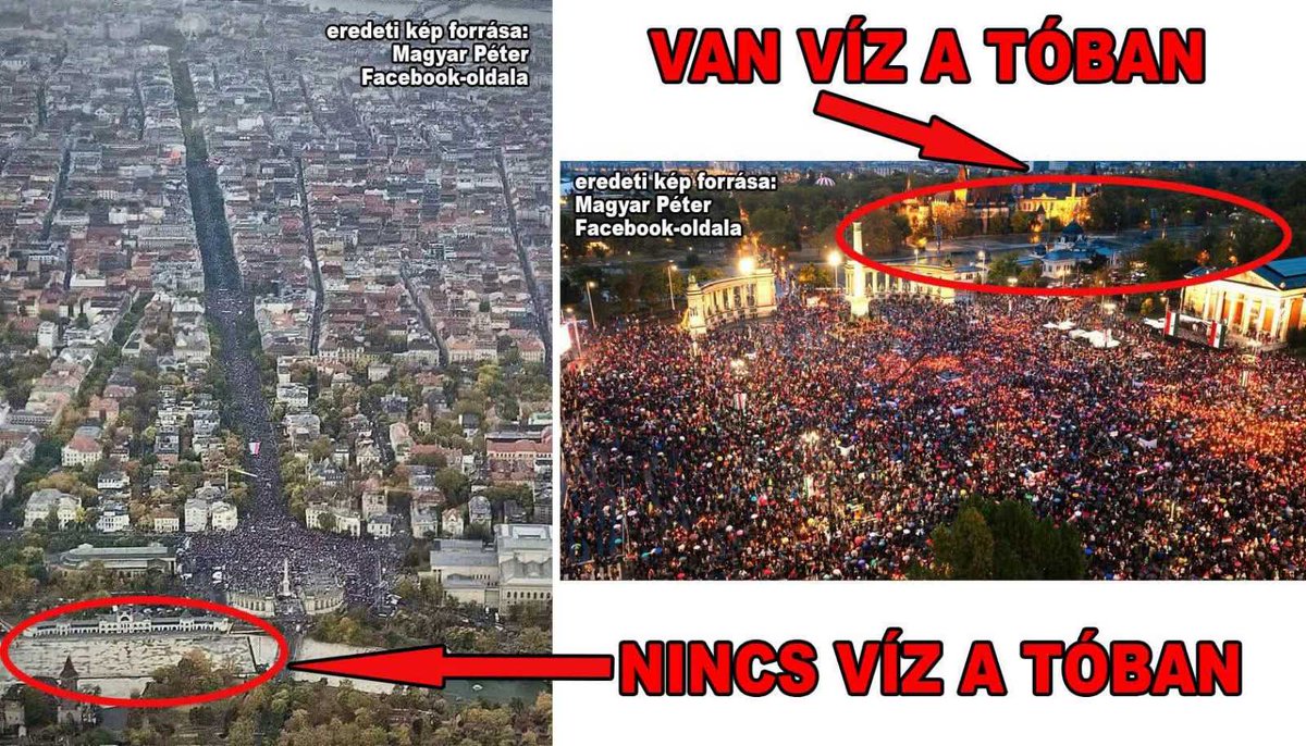 Bede Zsolt tweet media