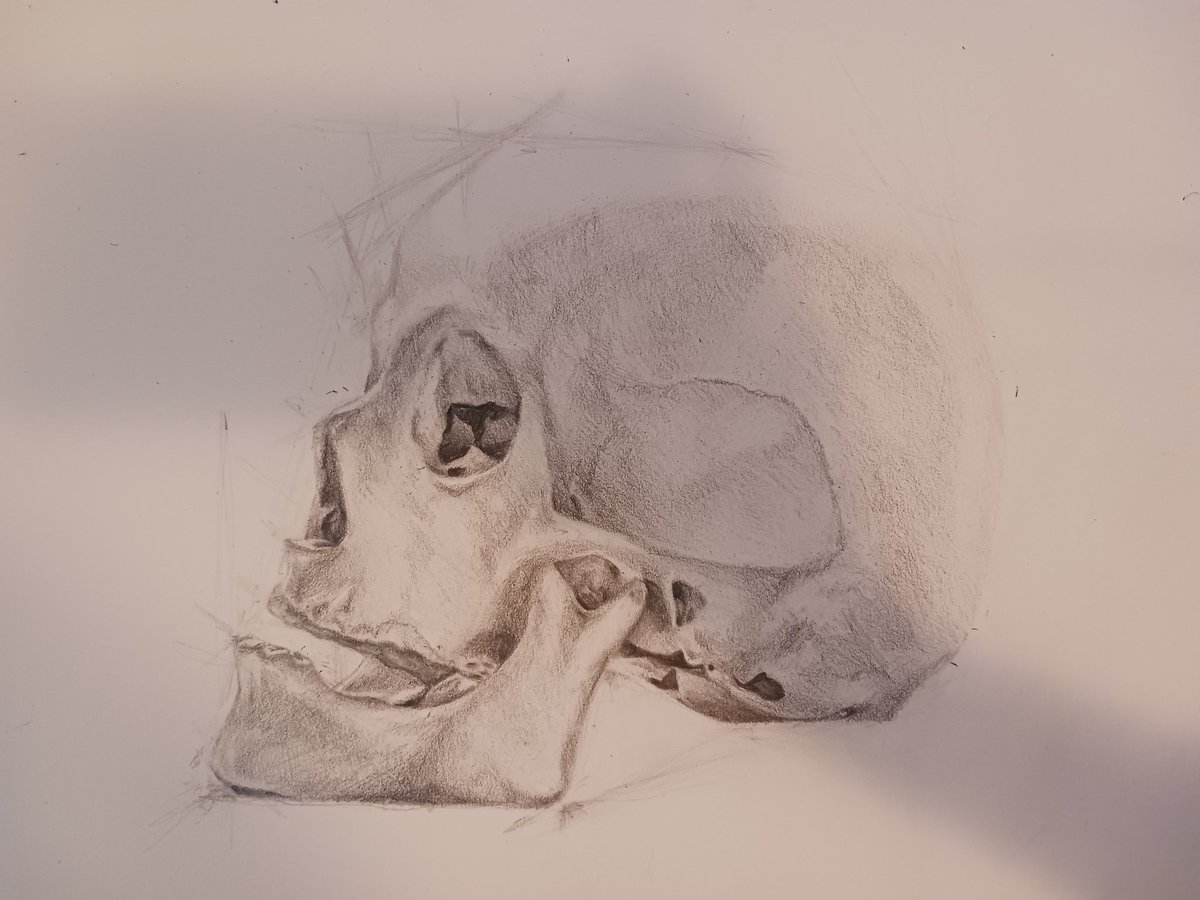 _fircyfuszek_'s tweet image. I haven't posted my art for a while, so here's one of my assignments.