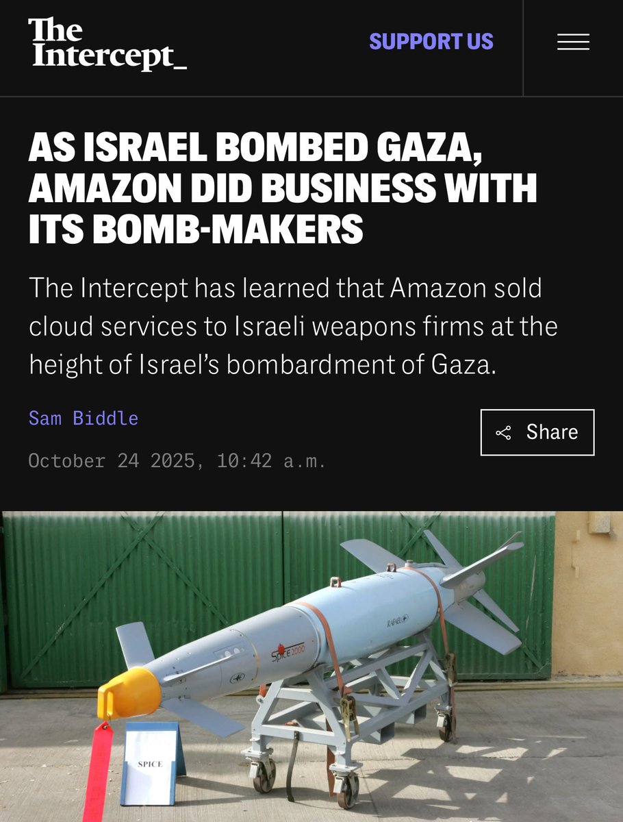 Is Amazon complicit in the atrocities in Gaza? Even as they declare a commitment to preventing “adverse human rights impacts”?

I provided analysis and research for this extensive report by <a href="/theintercept/">The Intercept</a> on Amazon’s involvement in Israel’s military apparatus and the use of its