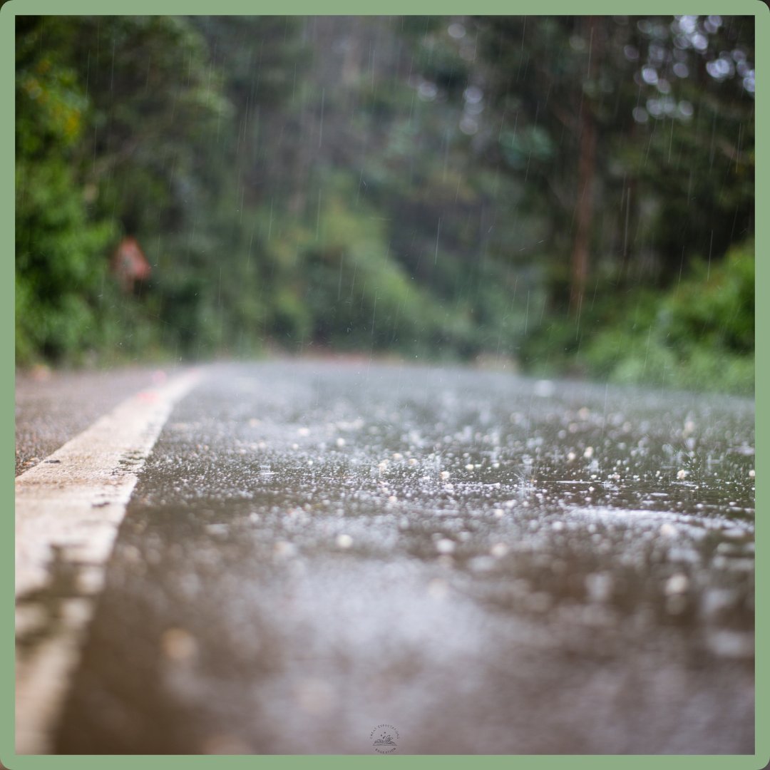 Across Europe, the smallest rain has many names — drizzle, bruine, llovizna, Niesel. All speak of drops that hover before they fall.
greatexpectationseducation.uk/musings-words-…