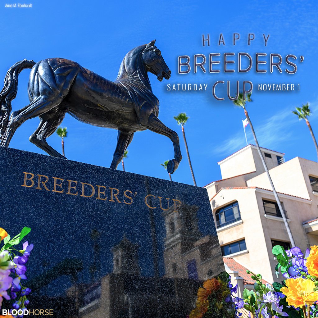 Happy <a href="/BreedersCup/">Breeders' Cup</a> World Championships  Saturday at <a href="/DelMarRacing/">Del Mar Racetrack</a>!
Good luck and safe trips to all. #BreedersCup #BC2025 #BreedersCup2025 #ChampionshipSaturday