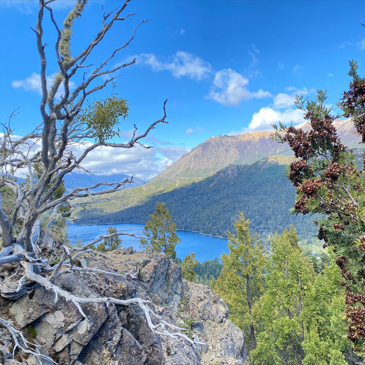 Rendida ante esta vastedad 🙌🏼🏞️
📍Bariloche, Río Negro.
📸 <a href="/almas/">Almas</a>.bariloche
