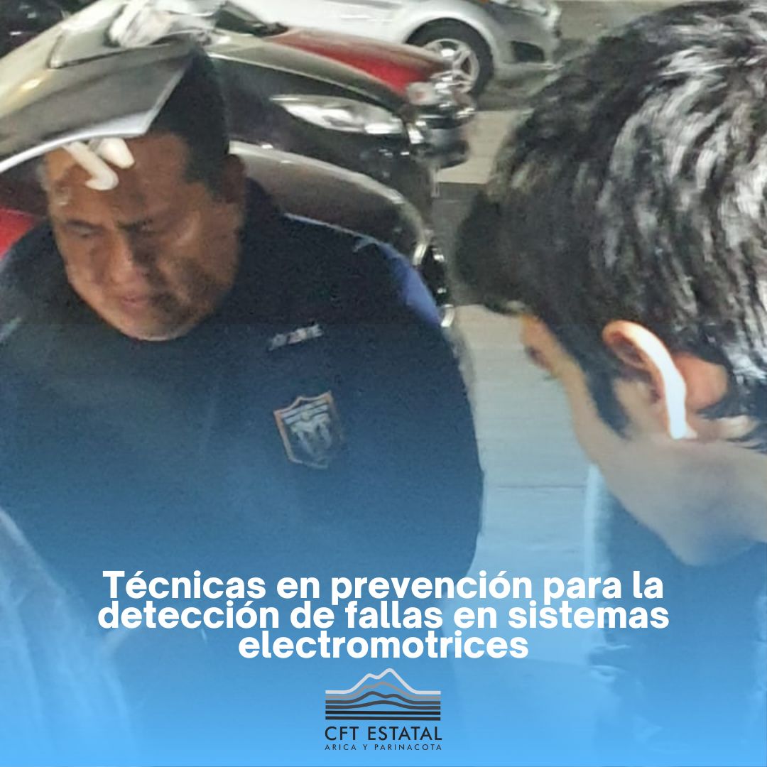 CFTEstatalAricayParinacota tweet media