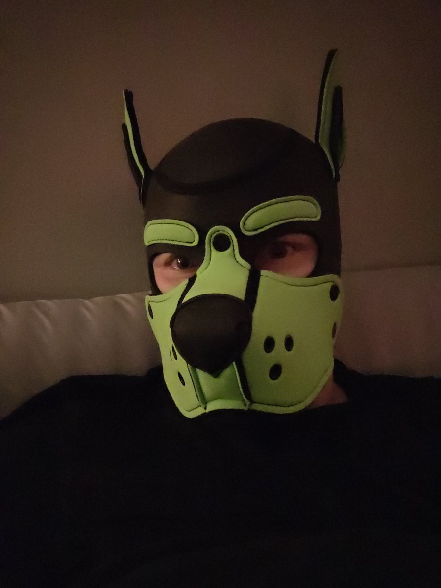 MrIdeaSnatcher's tweet image. Sleepy puppy wishes to dream of bones 🐶💤