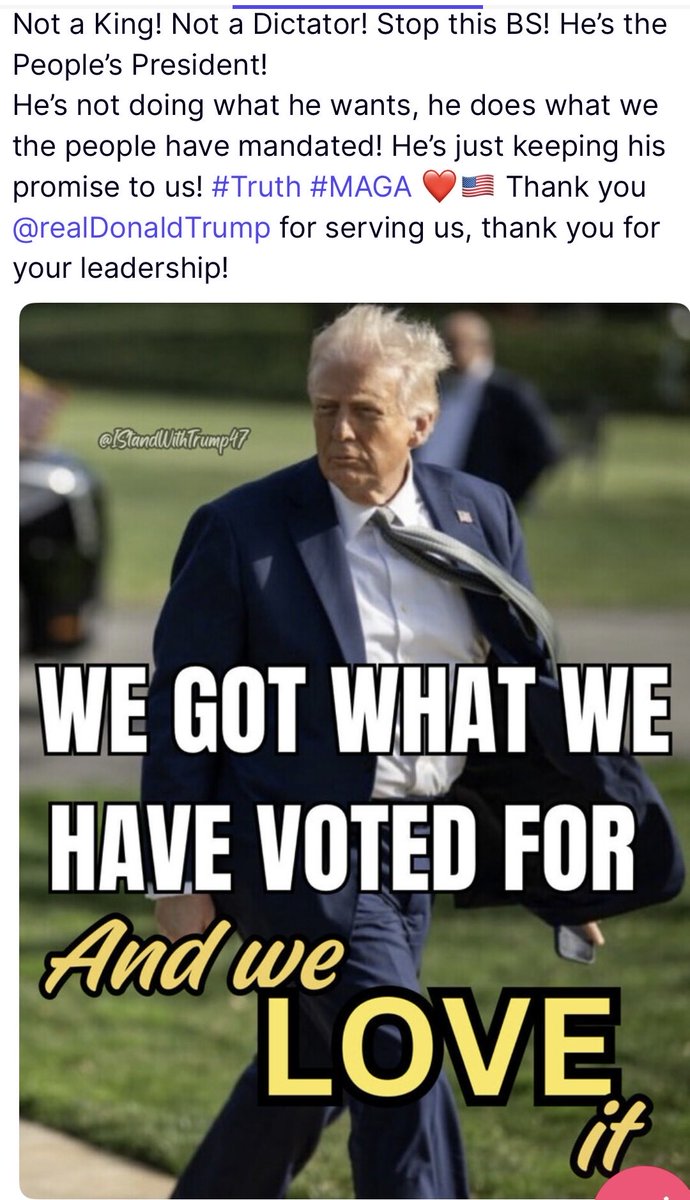 This is what I voted for ♥️🤍💙🇺🇸🦅