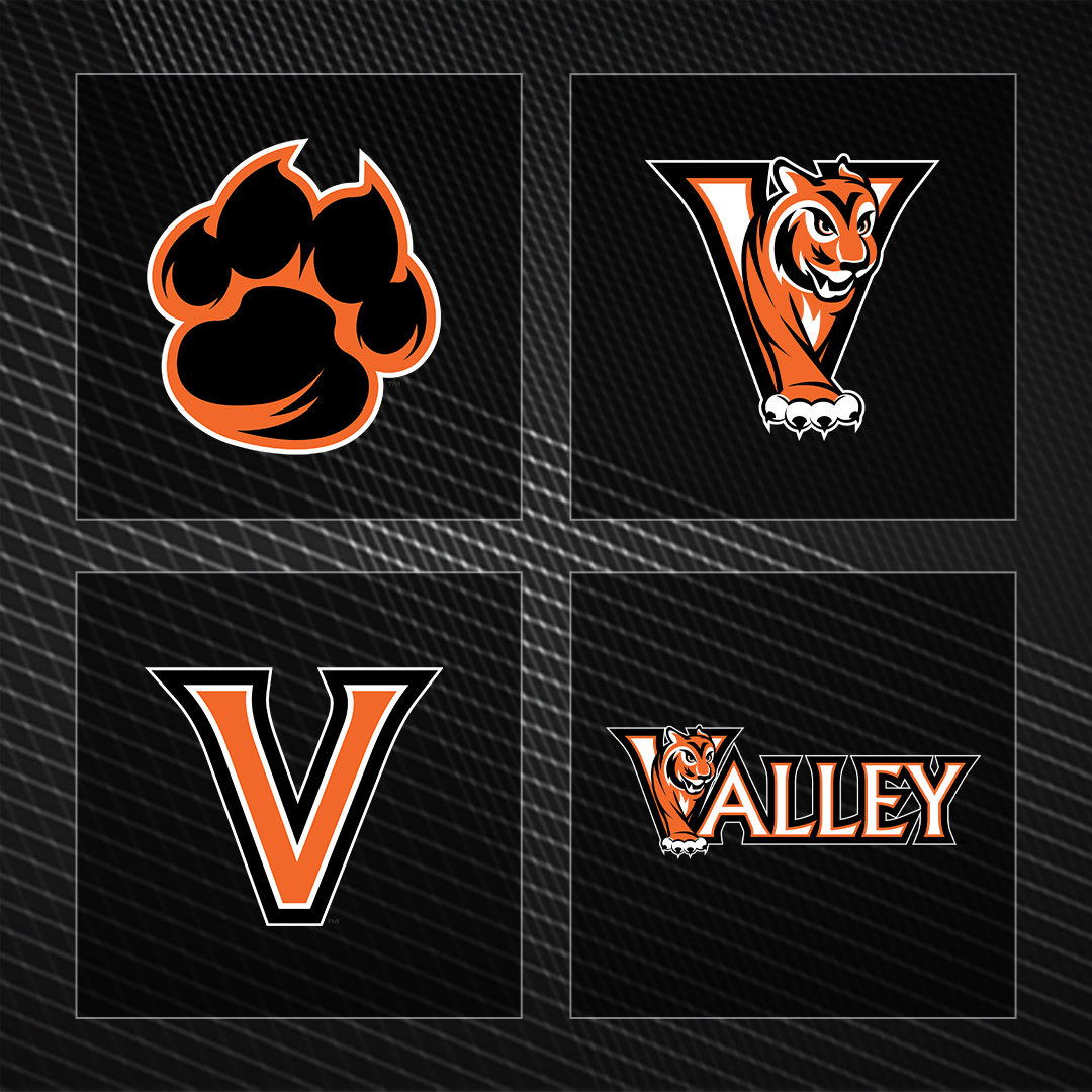 Letterman Creative tweet media