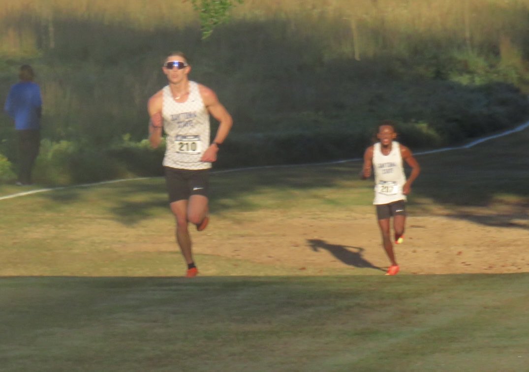 Herb Wills tweet media