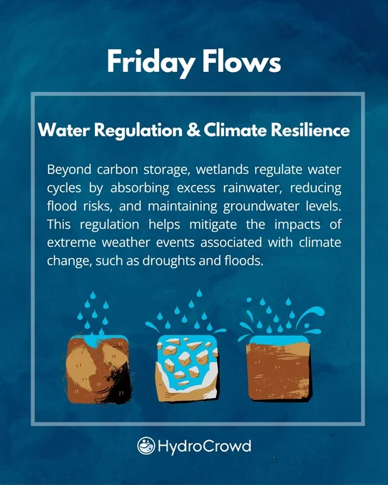 Image from HydroCrowd (@HydroCrowd)