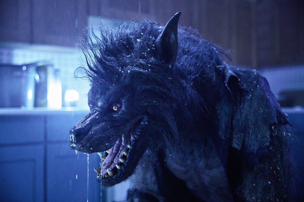 Trevor Kennedy tweet media