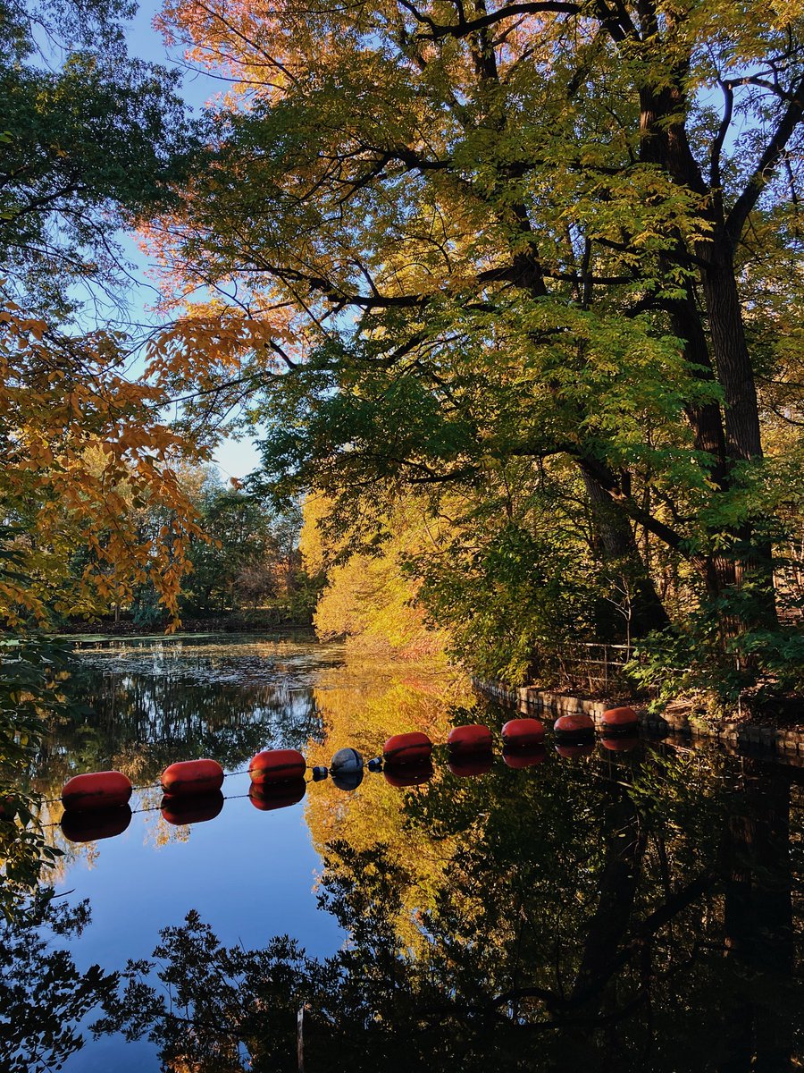 Today is the day 🍂 🍁