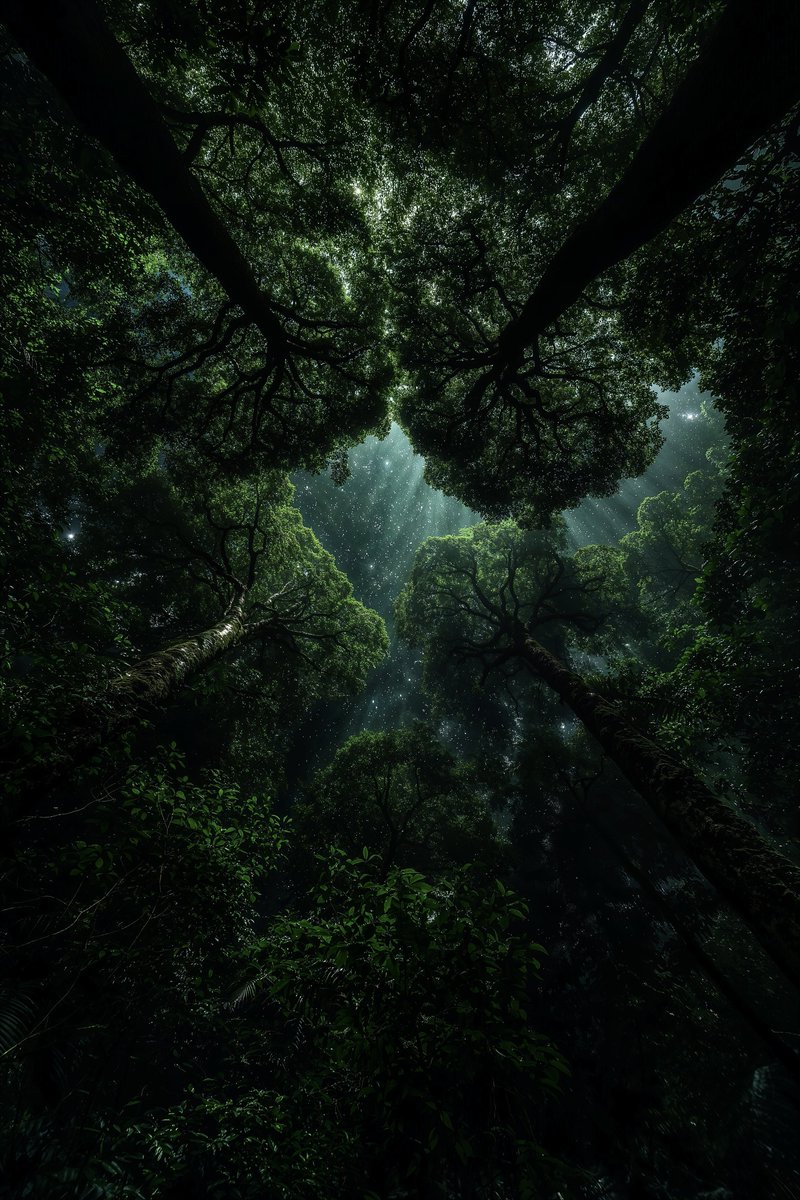 Tap, hold and load in 4K 🔥