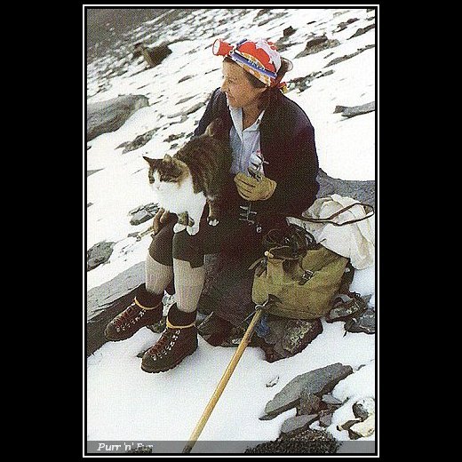 Radosław Poszwiński tweet media