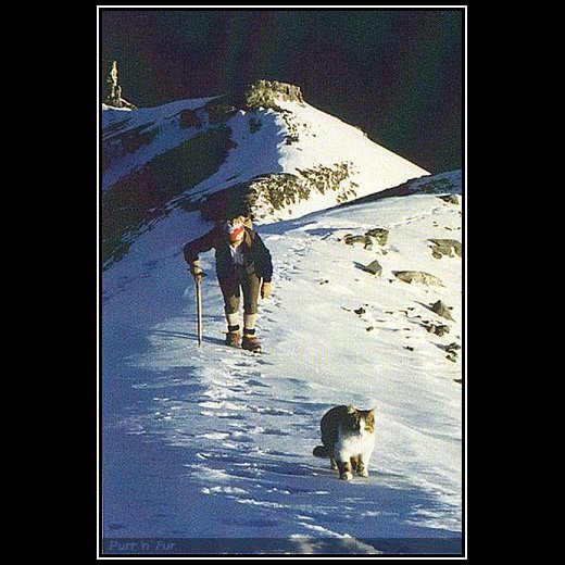 Radosław Poszwiński tweet media