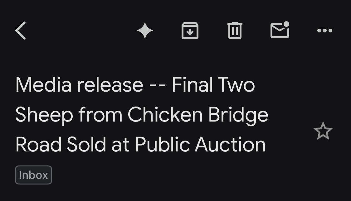 the upside of being on like seven different North Carolina county mailing lists