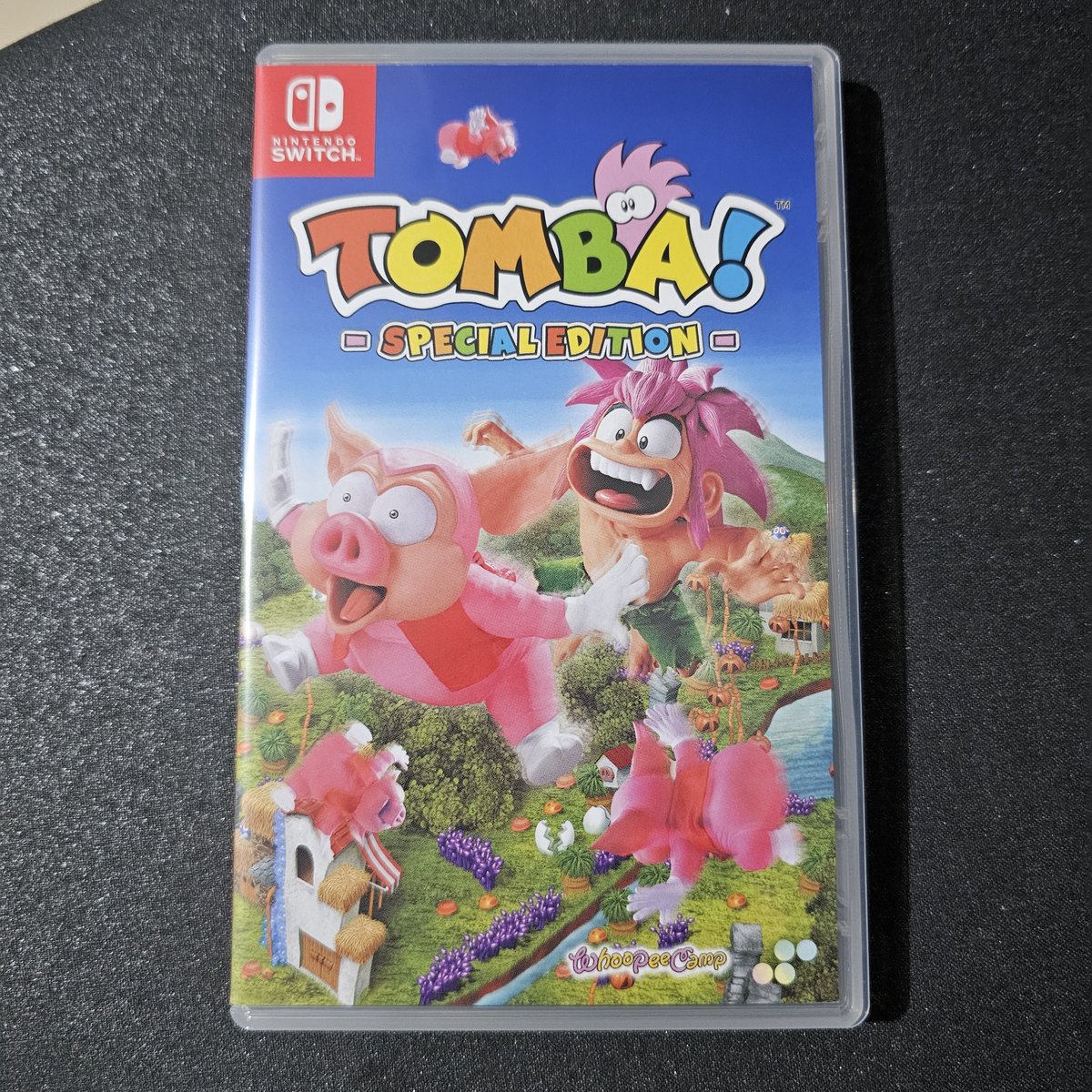 itsamommamia's tweet image. My childhood! Remastered!! But, I was expecting a collection of Tomba 1 and 2 to be remastered, but yeah... #tomba

Nabudol ako ni #Datablitz bigla huhu
